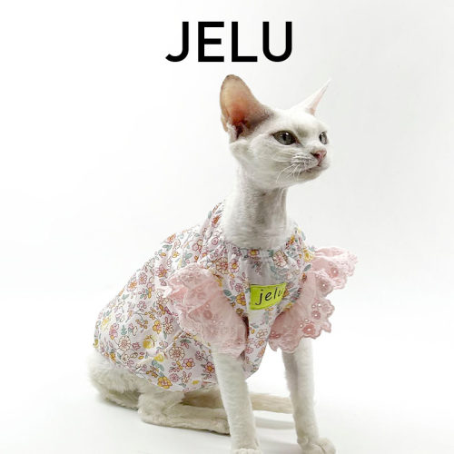 JELU 吉鹿 无毛猫斯芬克斯德文衣服亲肤套头打底可爱蕾丝袖纯棉