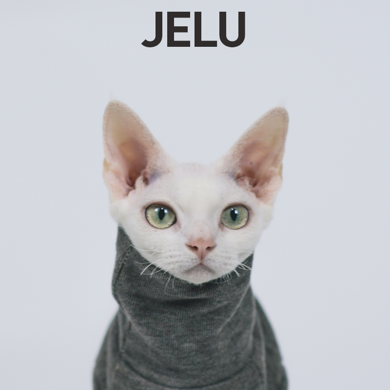 JELU 吉鹿 秋冬无毛猫衣服斯芬克斯德文绵羊绒卫衣加厚保暖亲肤