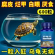 护龟片乌龟消毒片专治腐皮烂甲白眼病厌食净化水质杀菌宠物消毒液