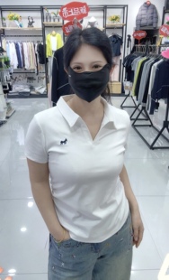 2026新款POLO衫T恤时尚洋气百搭休闲修身显瘦短袖女刺绣上衣7801