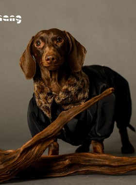Chang|丛林猎人棉服|JUNGLE HUNTER COAT|腊肠犬衣服