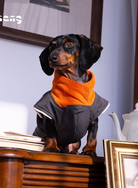 Chang|枫叶山户外软壳卫衣|MAPLE HILL HOODIE|腊肠犬衣服