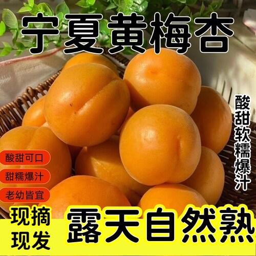 正宗宁夏黄梅杏当季新鲜水果酸甜