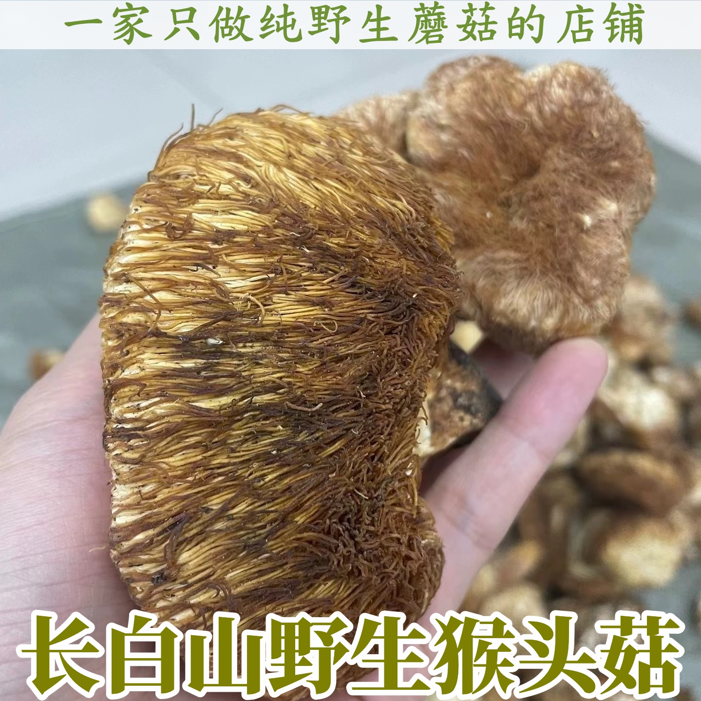 长白山纯野生猴头菇养胃猴头菇干货精品自然晒干250g包邮
