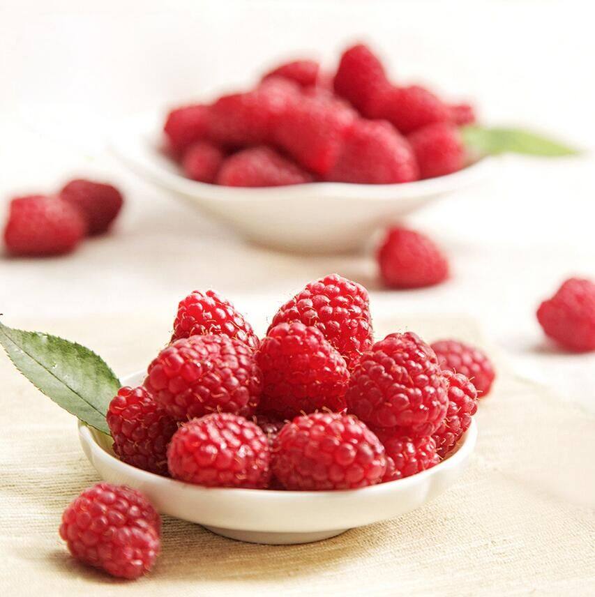 raspberry fresh fruit Raspberry Cranberries fruit Now pick Now send Original 12 box-packedin the Aquatic meat/Fresh fruits and vegetables/Cooked , Fresh fruit , Other  category - from Buy2taobao.com to provide professional Taobao agent buy service