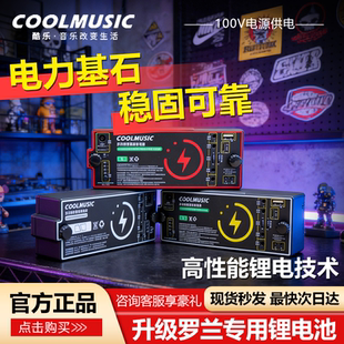 Roland罗兰 乐器锂电池专用RSB系列EX音箱蓝牙直播内录移动电源