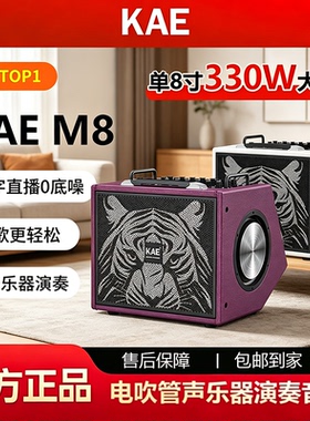 KAE楷尔M8音箱户外路演舞台电吹管声乐器音响电吉他弹唱K歌音箱