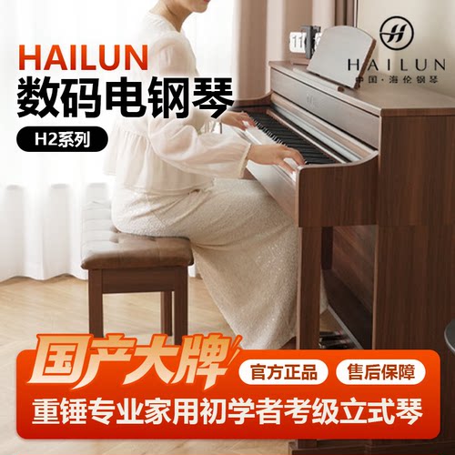 HAILUN海伦电钢琴H205