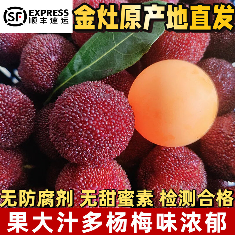 现摘现发潮汕金灶大杨梅当季新鲜孕妇水果非乌酥浙江仙居东魁顺丰