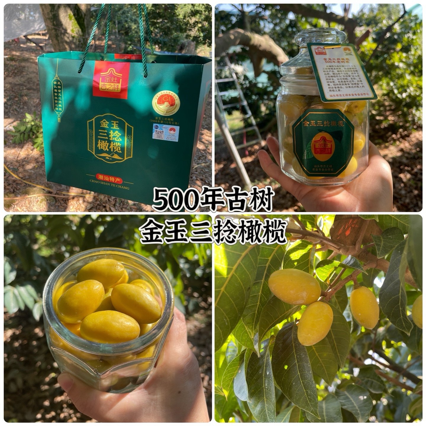 金灶吉之祥正宗金灶三捻橄榄三棱橄榄500年老树礼盒生吃回甘无渣,水产肉类/新鲜蔬果/熟食,橄榄,淘宝优惠券,粉丝福利购,淘宝优惠卷