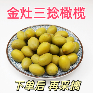 2025现摘广东特产新鲜水果金灶嫁接三捻橄榄青果孕妇生吃煲汤回甘
