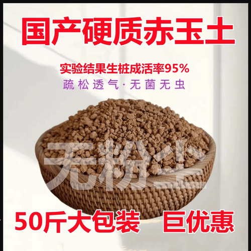 国产硬质赤玉土金松专用颗粒进口兰花三本营养铺面盆景多肉盆栽
