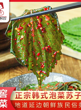 秀彬家园 韩国泡菜紫苏叶 腌苏子叶咸菜辣韩式延边朝鲜族紫苏叶酱