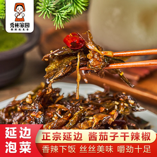 秀彬家园 延边朝鲜族泡菜咸菜东北下饭菜252g 酱茄子干辣椒地窖