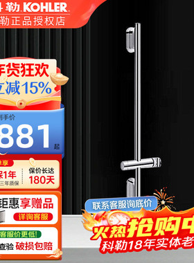 科勒水乐章浴室花洒支撑杆手持花洒升降杆（可进水）K-26314T-CP