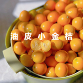 广西老品种止咳油皮小金桔当季 新鲜现摘酸甜孕妇水果麻嘴黄皮橘子