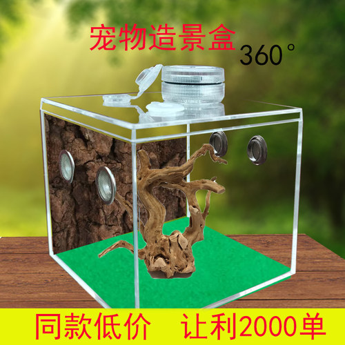 爬宠专用蝈蝈饲养透明亚克力