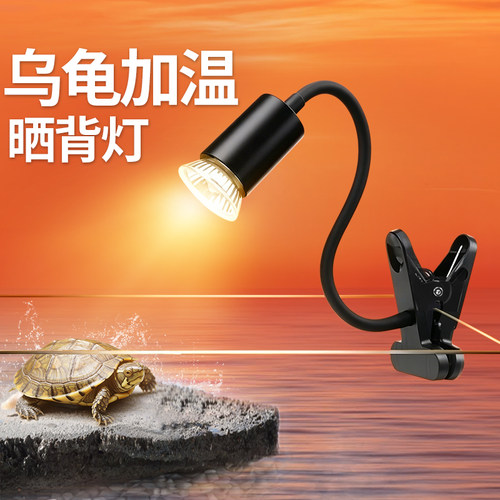 乌龟晒背UV加热三合一灯泡