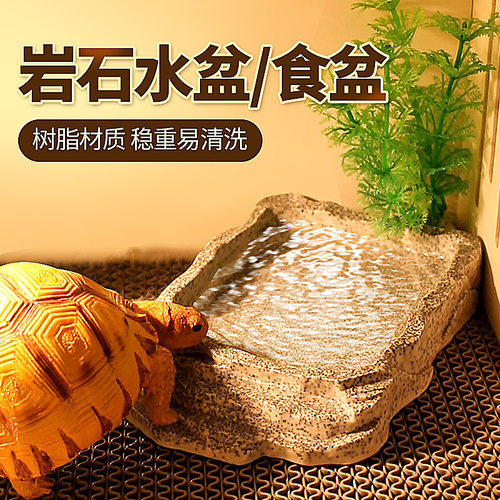 陆龟水盆爬虫食盆大小号