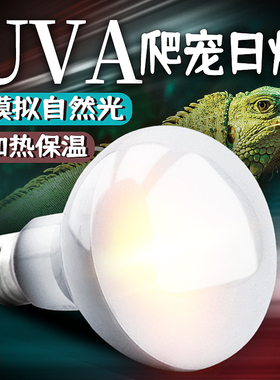 UVA爬虫日灯陆龟箱蜥蜴乌龟爬宠加热保温晒背灯夜灯恒温灯聚光灯