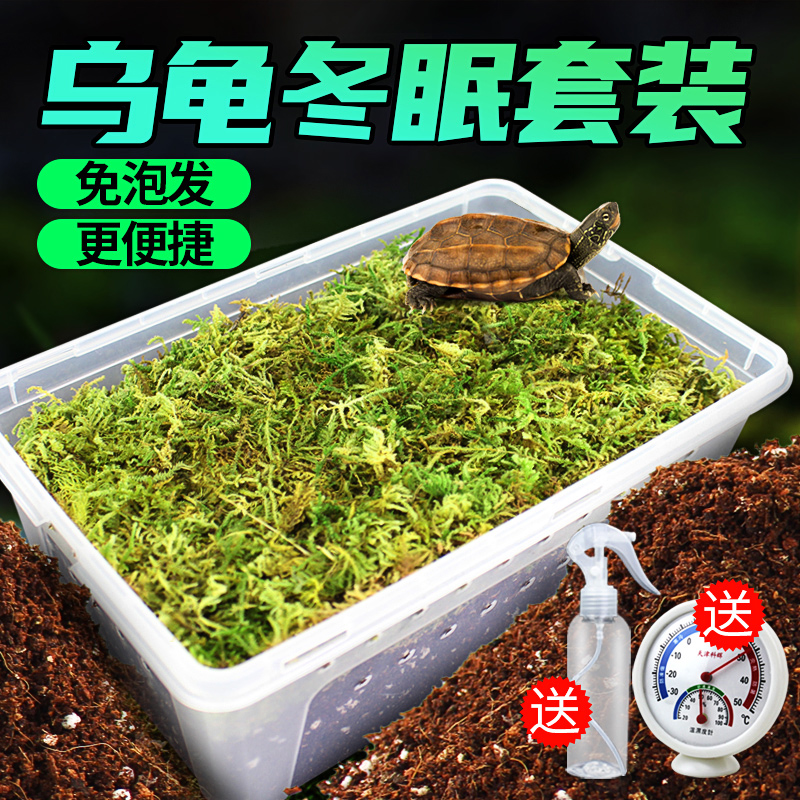 乌龟冬眠土草龟巴西龟冬眠用品椰土饲养箱爬宠盒角蛙垫材沙土土窝
