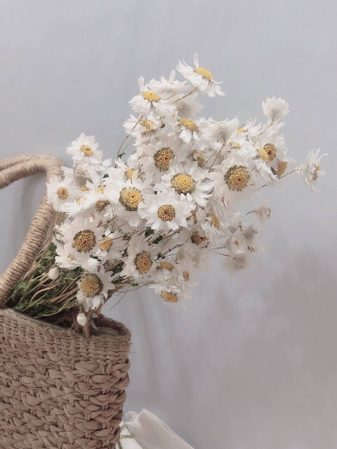 素雅清新邹菊小花束小花高贵鲁丹鸟罗丹斯拍摄花束道具插花花材