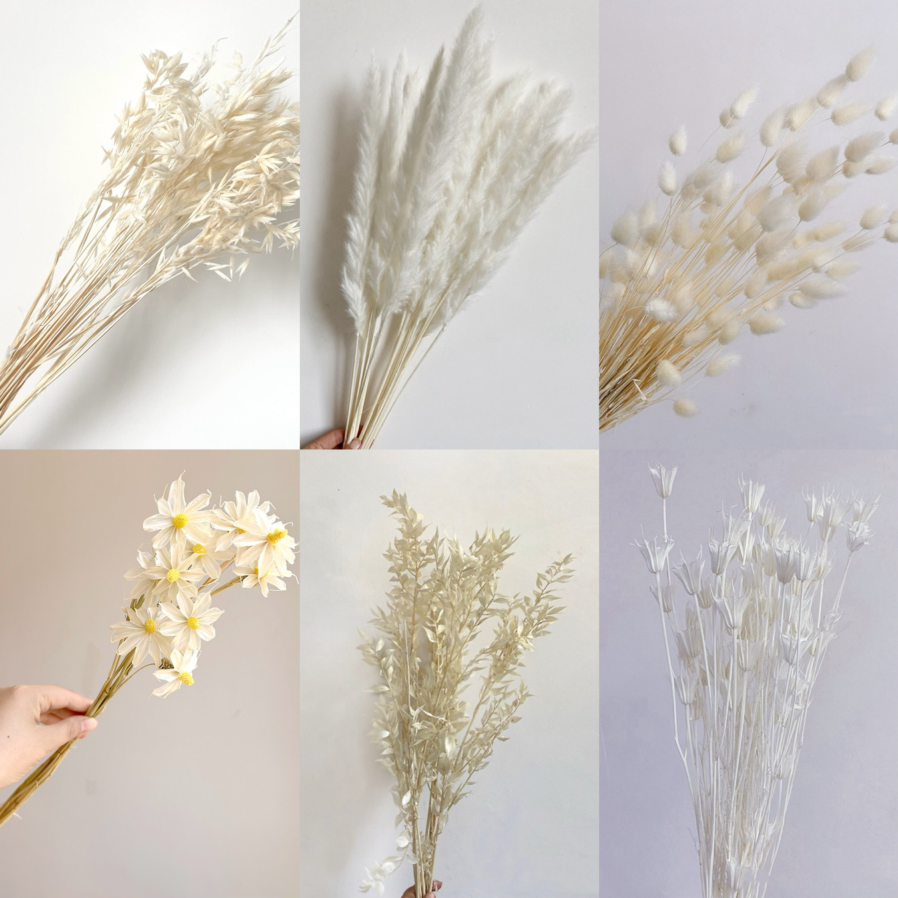 轻奢奶油风白色干花永生富贵叶兔尾草芦苇花束梦幻花艺摆件软装