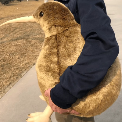 仿真奇异鸟公仔毛绒玩具