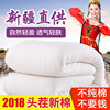Cotton Winter quilt thickening keep warm Nets Cotton is Cotton mattress The quilt core Mat Double