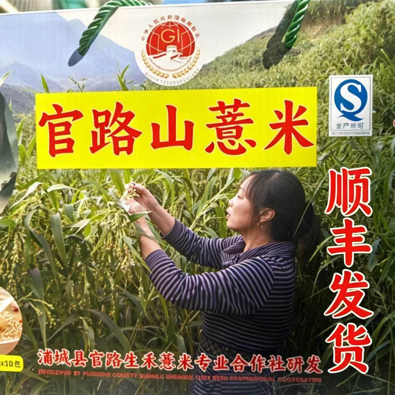 正宗浦城官路山薏米去皮真空5斤装中国大部包邮