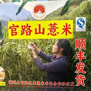 正宗浦城官路山薏米去皮真空5斤装中国大部包邮