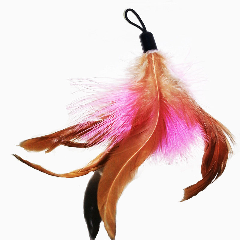 逗猫棒替换头羽毛款dly逗猫棒