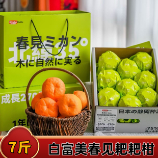 白富美春见耙耙柑7斤礼盒装日本静冈种源新鲜水果纯甜丑柑橘桔子