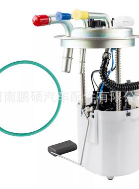 E3581M FG0808 P76262M MU1639 69963适用雪佛兰燃油泵总成 泵芯