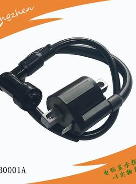 摩托车点火线圈适用HONDA ATC 110 1981-1984 3Wheeler Trike ATV