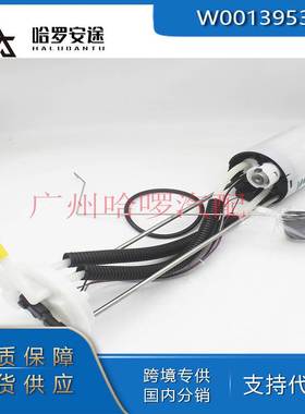 热销 W0013953 W0012742 W8007382 适用workhorse 汽油泵总成