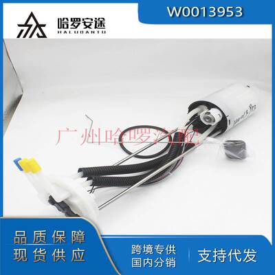 热销 W0013953 W0012742 W8007382 适用workhorse 汽油泵总成