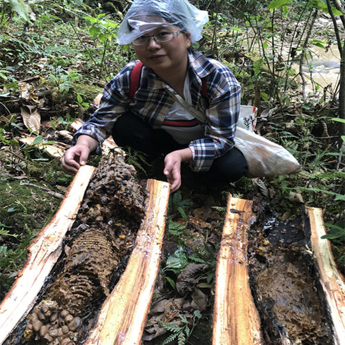 云南德宏原始森林野生纯天然蜂蜜