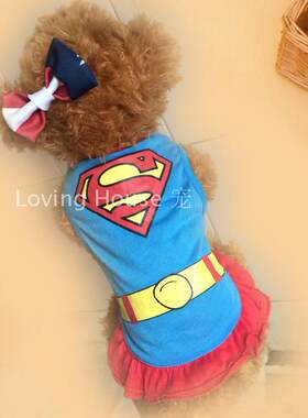 狗狗裙子泰迪衣服春装比熊博美