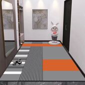 2024新款 可擦免洗硅藻泥吸水入户门垫防滑地垫高级进门口脚垫地毯