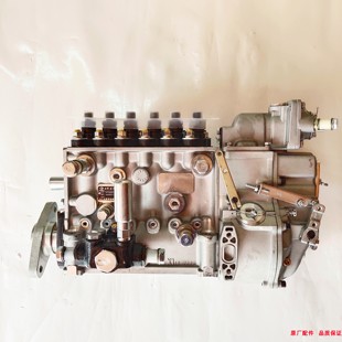 C27喷油泵龙口龙泵BP5369喷油泵工程机械 1111100 玉柴YC6M M3015