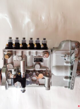 玉柴YC6A190D/A8100-1111100-C27喷油泵龙口龙泵BP4121喷油泵发电