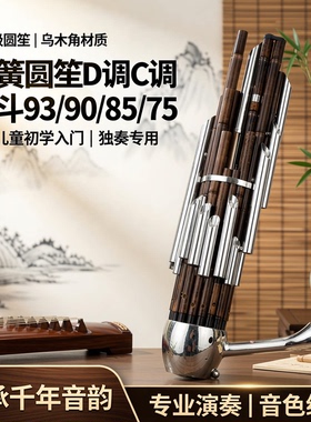 笙乐器专业21簧圆笙乌木角成人儿童初学入门D调G调F独奏笙配笙包