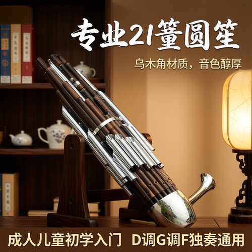 风海名家21簧笙乐器音准好吹