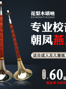 唢呐乐器初学者专业花梨木高音儿童小号唢呐小GEF调百鸟朝凤锁呐