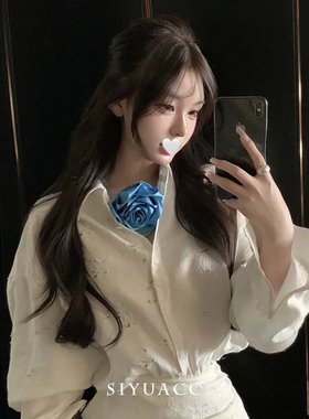 法式蓝色玫瑰花颈链花朵颈带项链