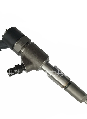 玉柴国三国四国五电喷喷油器总成0445110486 889 839 859 860 487