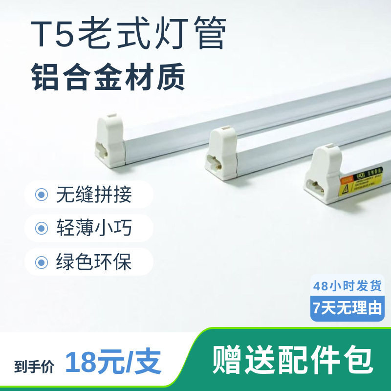 国信T5老式支架220V电压带镇流器乌龟晒背灯爬宠灯uvb灯爬宠用品