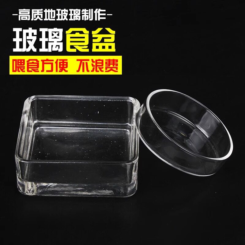 鱼缸水族箱草虾缸喂食盆 高清玻璃太古泥盆水晶观赏虾 圆形