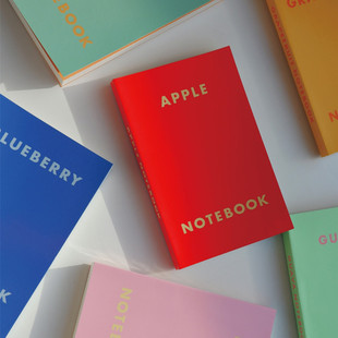 韩国fruitfries彩色竖款网格子绘画本加厚万年历手账记事笔记本子